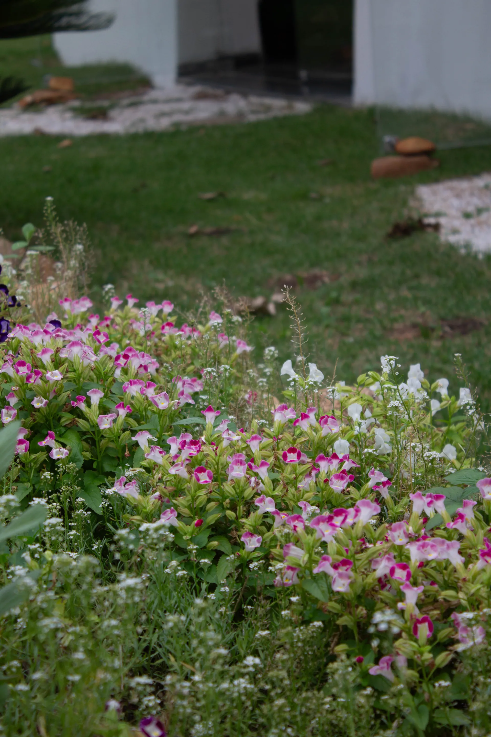 Foto 9 da Casa Malta