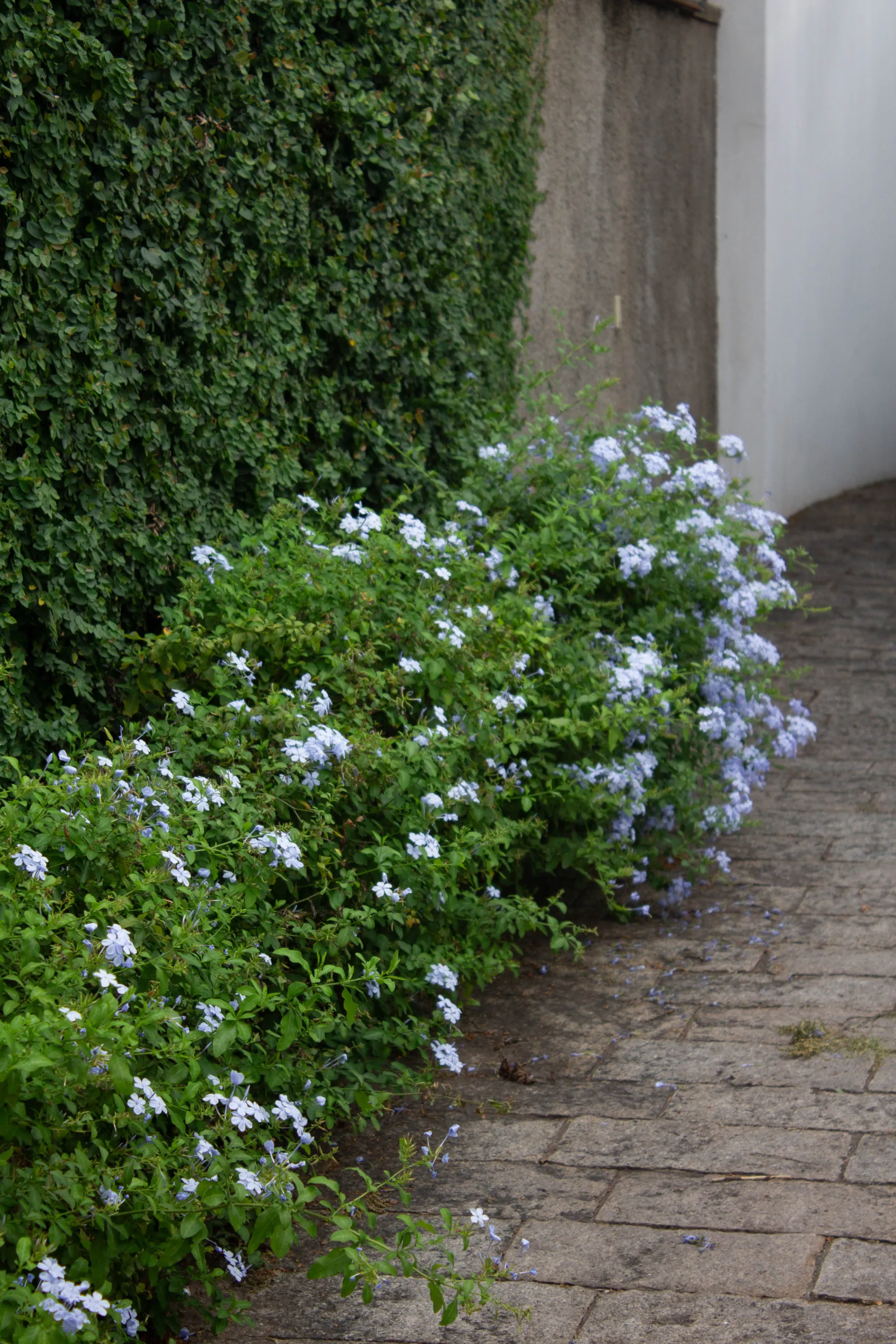 Foto 12 da Casa Malta